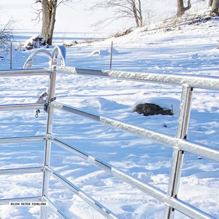 Moveable gate with loop legs