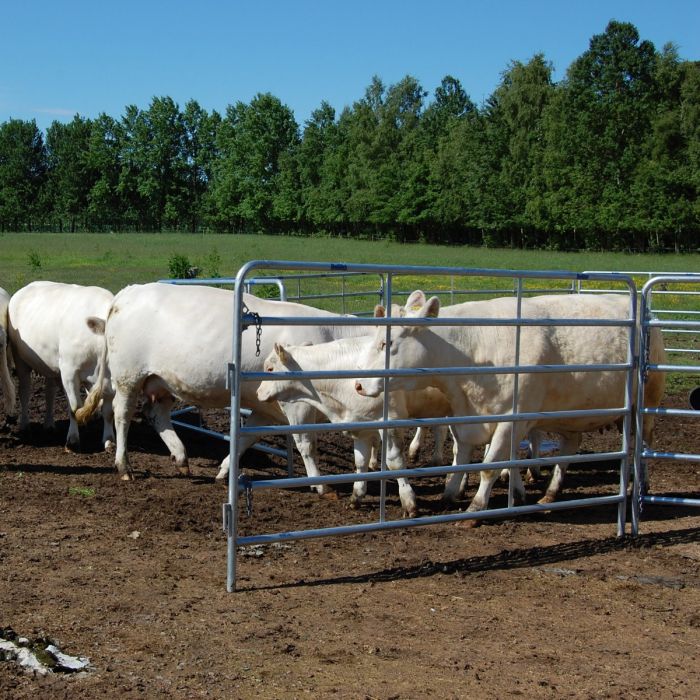 Moveable gate with latch and chain