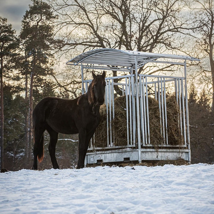 Feeder with grille gate for horses, 8 openings