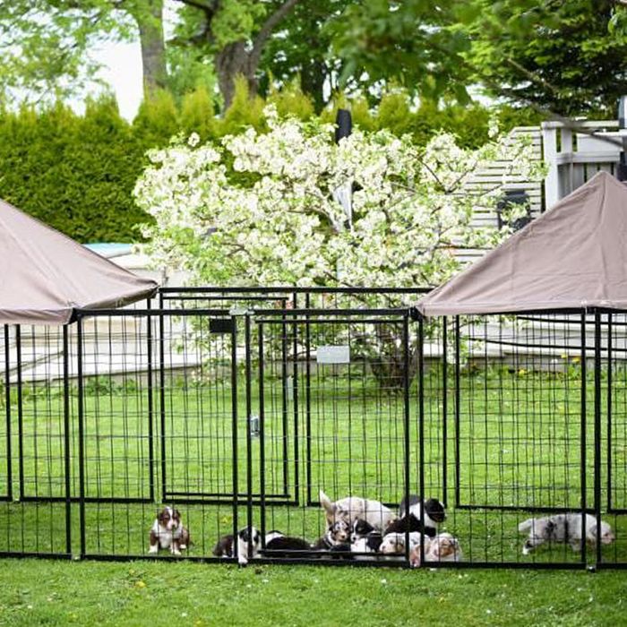 Portable dog pen Nikko