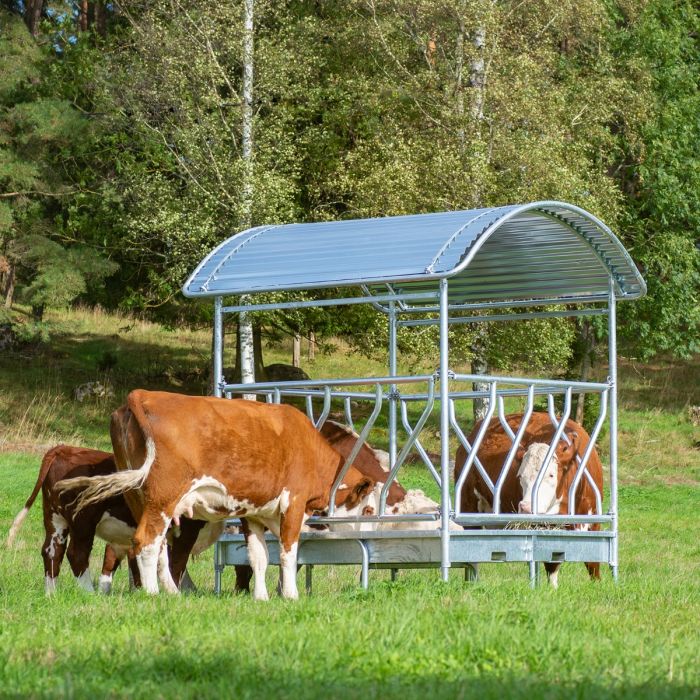 Feeder with diagonal barrier for cattle, 12 feed openings