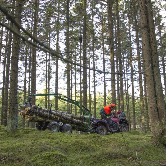2-tonne forestry trailer ATV, Package 3
