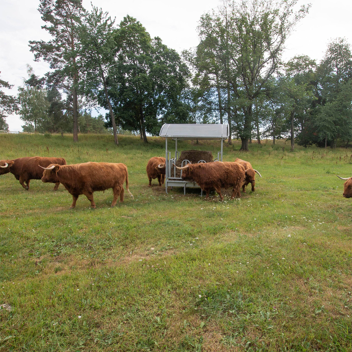 Feeder with tombstone railings, for cattle, 12 feed openings