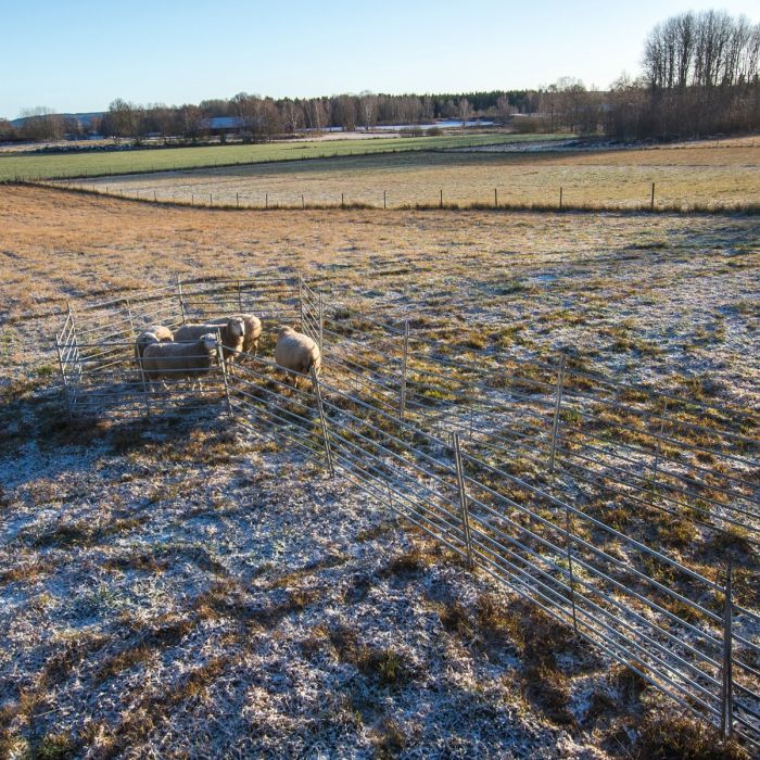 Sheep gate 1.5 m