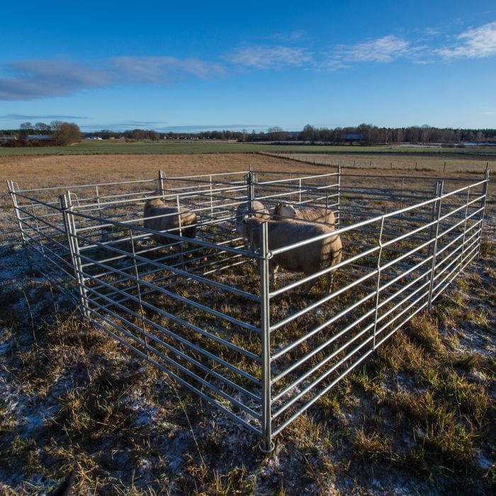 Sheep gate 2.0 m