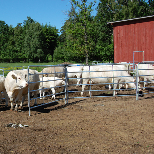 Moveable gate with latch and chain