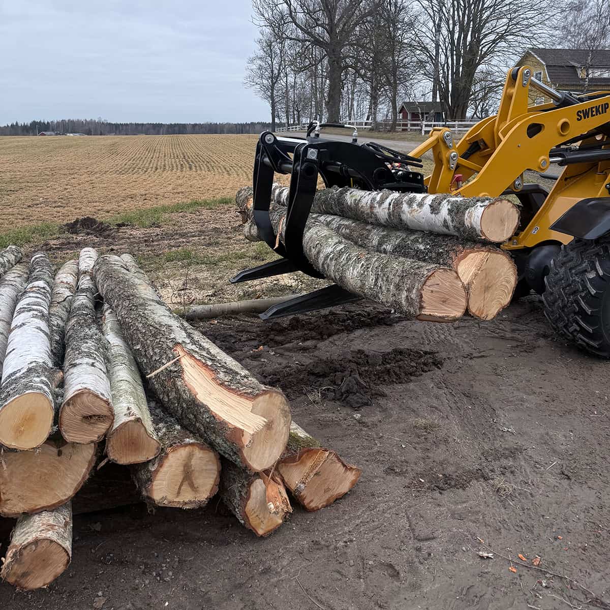 Timber grapple for frontloaders, bolted Euro attachment