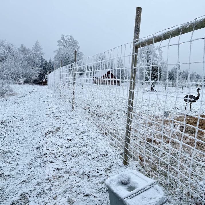 Wildlife fencing