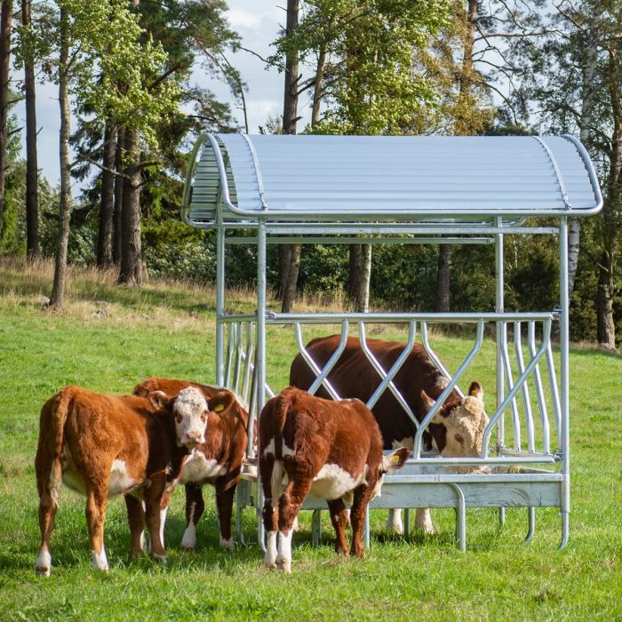 Feeder with diagonal barrier for cattle, 12 feed openings