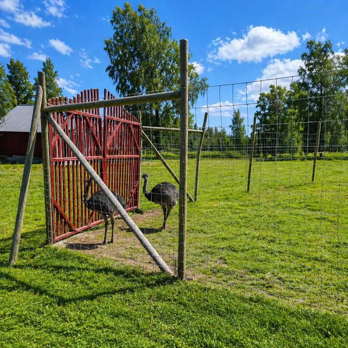 Wildlife fencing