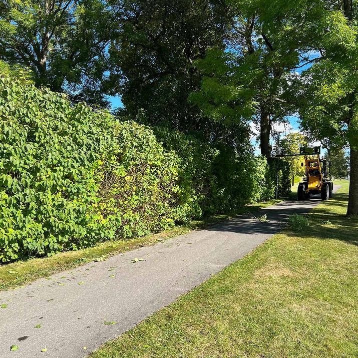 Hedge trimmer for frontloaders with bolted Trima attachment