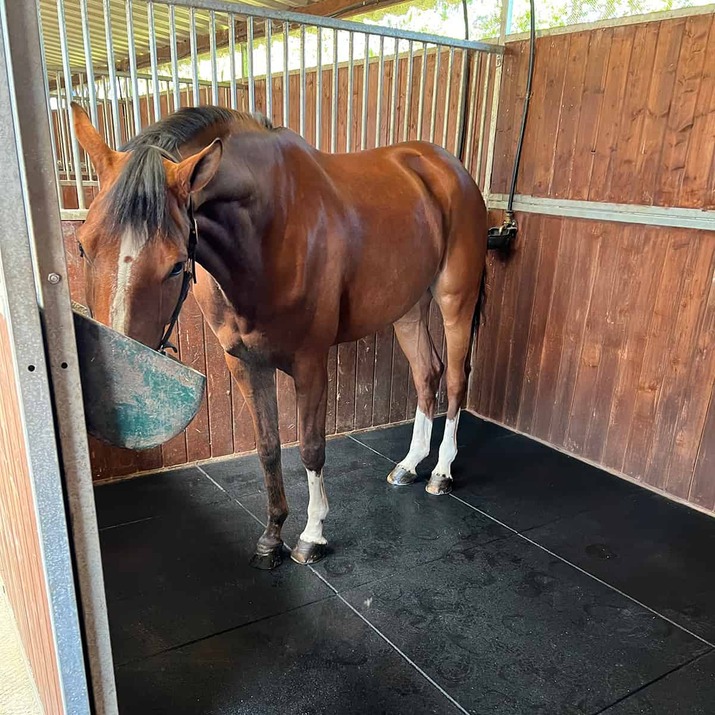 Stable mat 20 mm, 1 x 1 m
