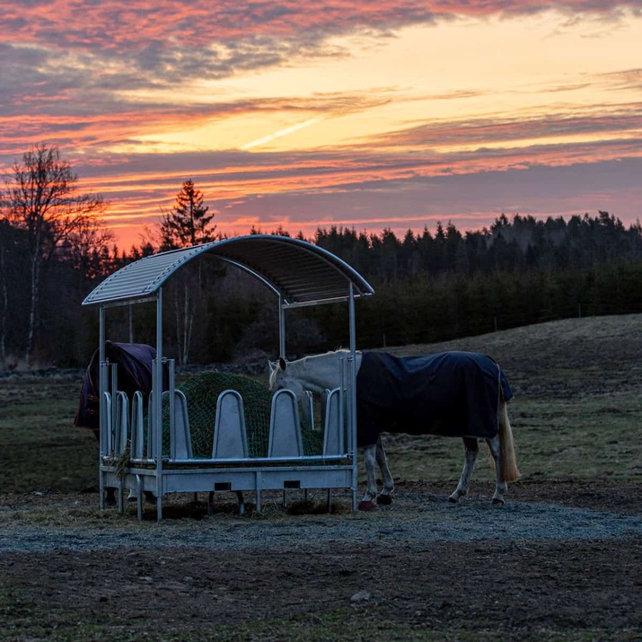 Feeder with roof and covered tombstone railings for horses