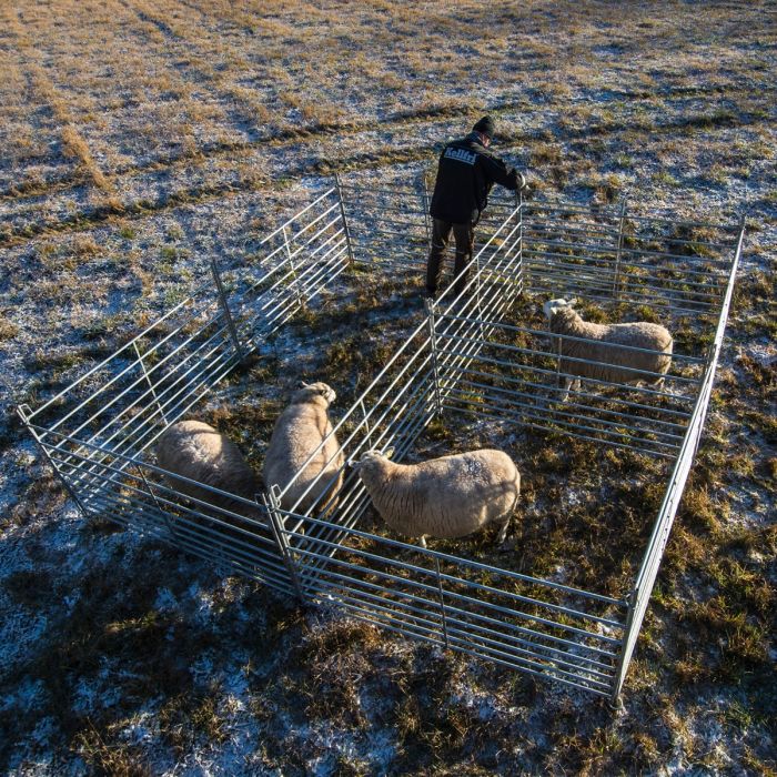 Sheep gate 2.0 m