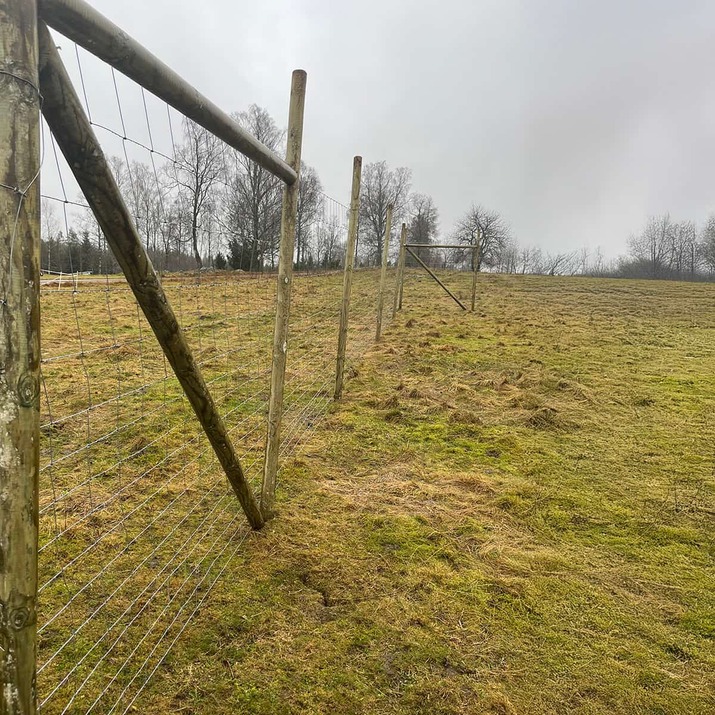 Wildlife fencing