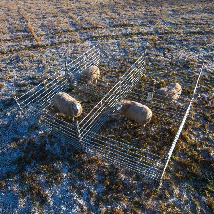 Sheep gate 1.5 m