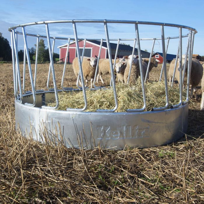 Feeder for sheep, 24 feed openings