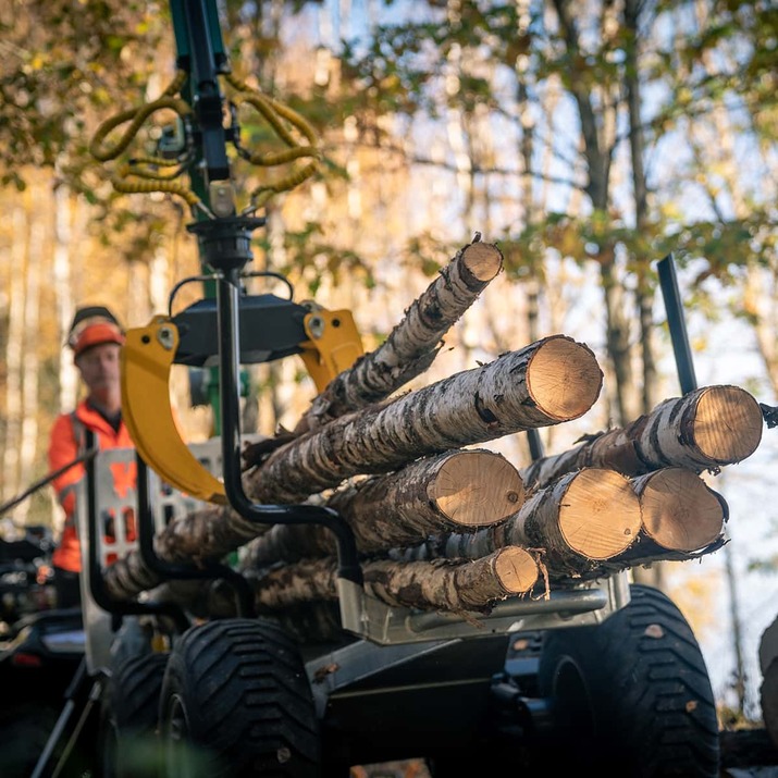 3-tonne forestry trailer ATV with 4,2 m crane