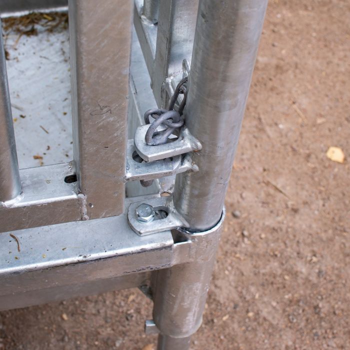 Feeder with grille gate for horses, 12 openings