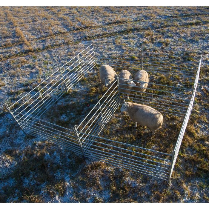 Sheep gate 2.0 m