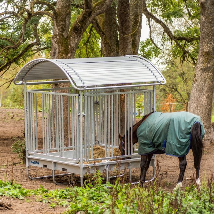 Feeder with grille gate for horses, 12 openings