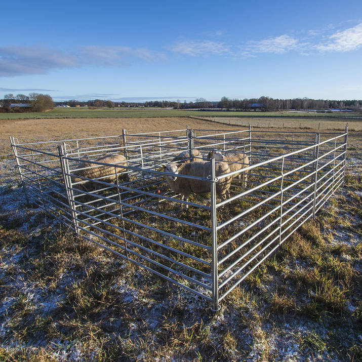 Sheep gate 1.5 m