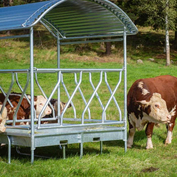Feeder with diagonal barrier for cattle, 12 feed openings