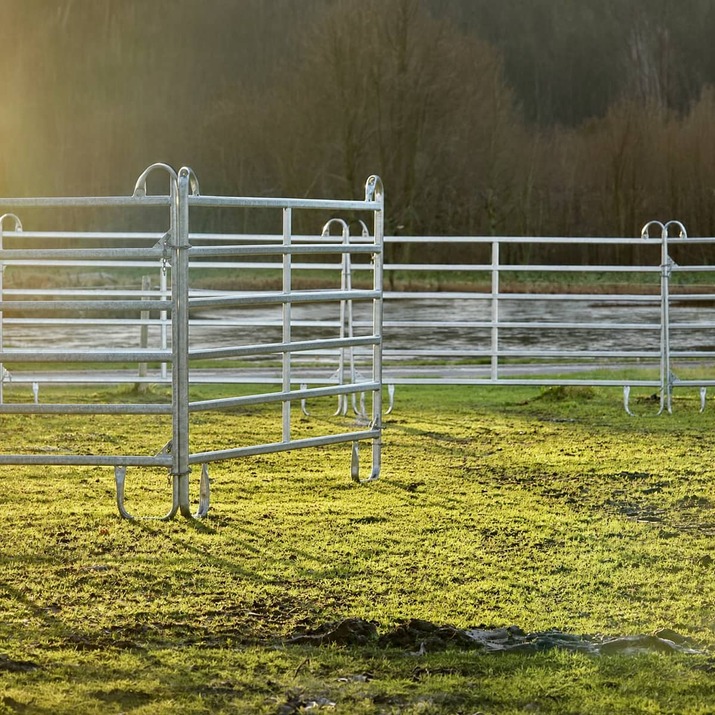 Moveable gate with loop legs