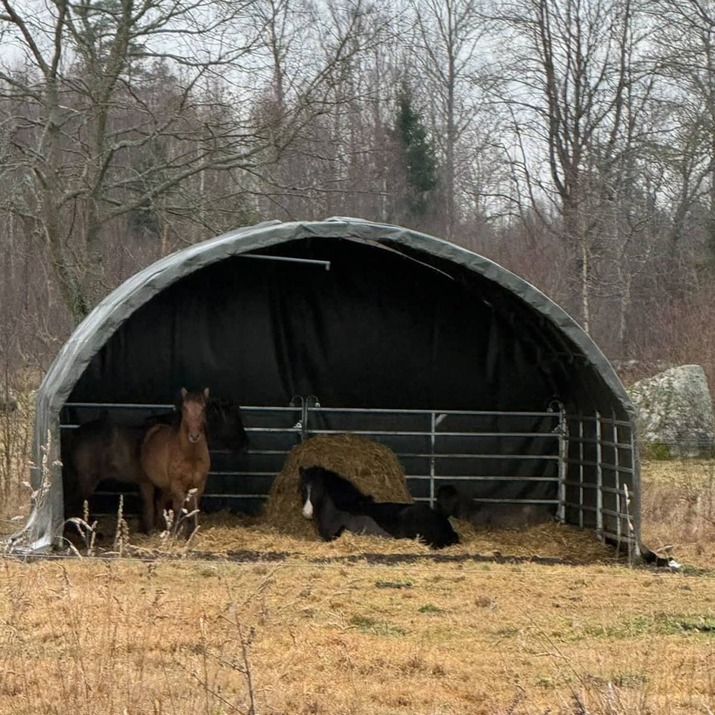 Wind shelter 6 x 6 m incl. loop leg gates