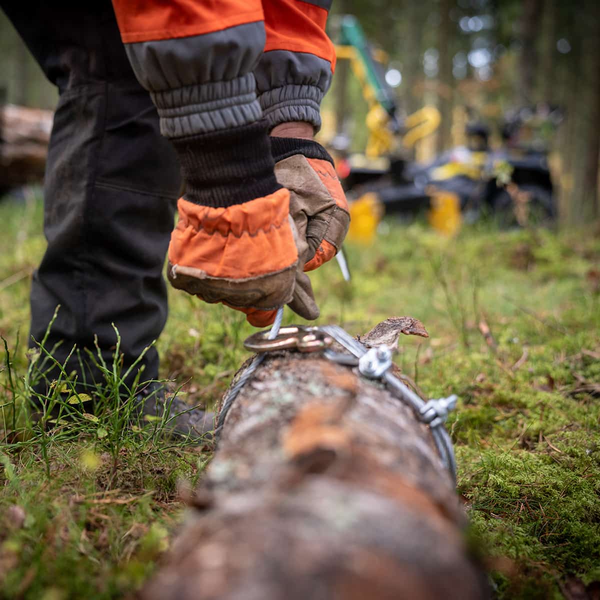 Forestry trailer ATV FT42DFR-2T