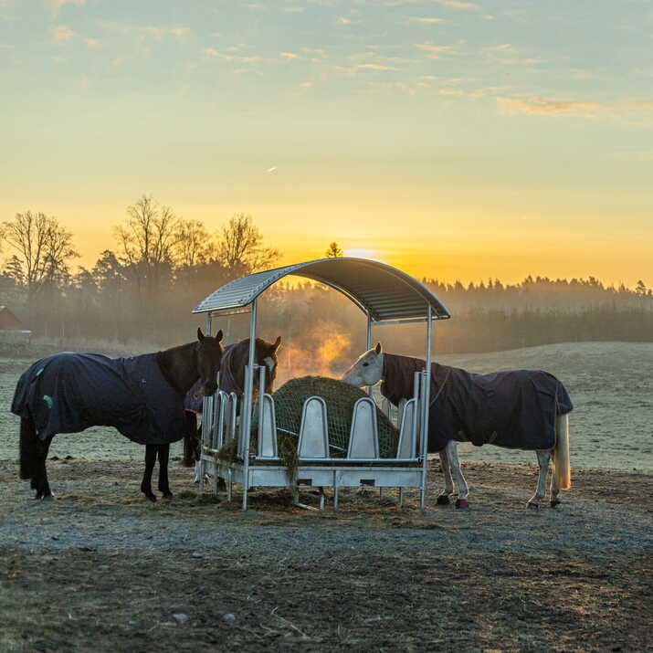 Feeder with roof and covered tombstone railings for horses