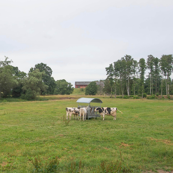 Feeder incl. self-locking headgates for cattle, 12 feed openings