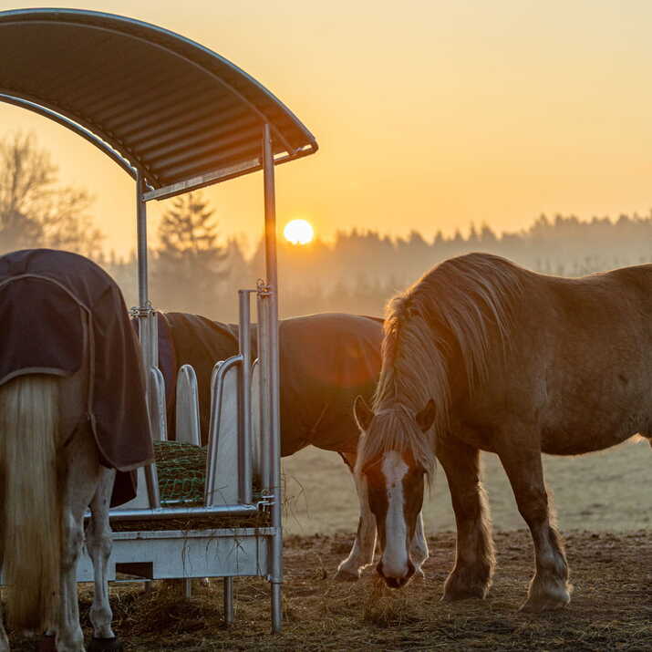 Feeder with roof and covered tombstone railings for horses