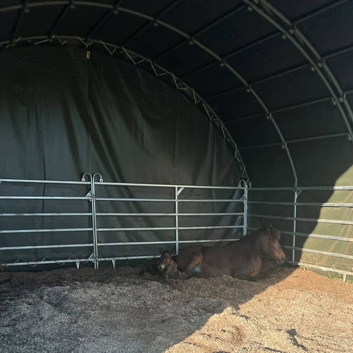 Wind shelter 6 x 6 m incl. loop leg gates