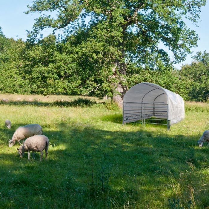 Wind shelter for sheep