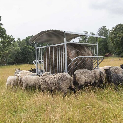 Roofed feeder for sheep