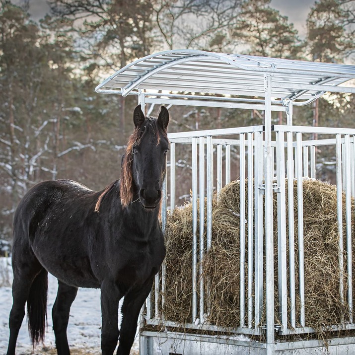 Feeder with grille gate for horses, 8 openings