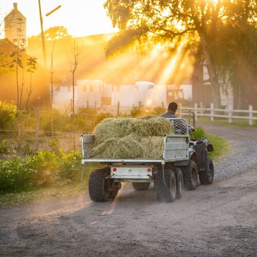 Tipping trailer ATV, 1.5 tonnes