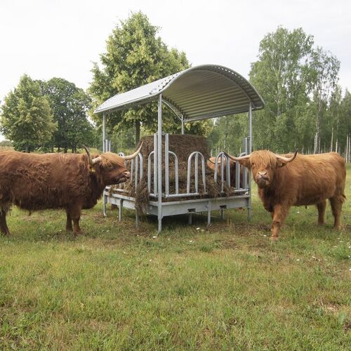 Feeder with tombstone railings, for cattle, 12 feed openings