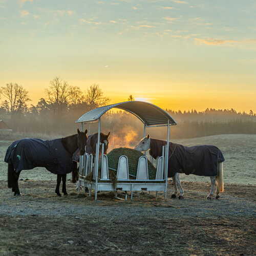 Feeder with roof and covered tombstone railings for horses
